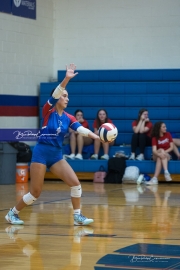 Volleyball: Polk at West Henderson (BR3_6687)