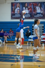 Volleyball: Polk at West Henderson (BR3_6694)