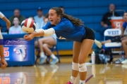 Volleyball: Polk at West Henderson (BR3_6721)