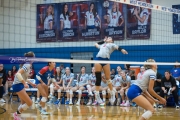 Volleyball: Polk at West Henderson (BR3_6739)