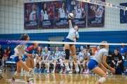 Volleyball: Polk at West Henderson (BR3_6742)