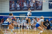 Volleyball: Polk at West Henderson (BR3_6744)