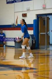 Volleyball: Polk at West Henderson (BR3_6752)