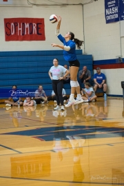 Volleyball: Polk at West Henderson (BR3_6757)