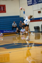 Volleyball: Polk at West Henderson (BR3_6790)