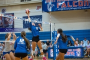 Volleyball: Polk at West Henderson (BR3_6806)