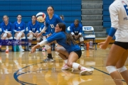 Volleyball: Polk at West Henderson (BR3_6839)