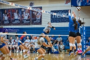 Volleyball: Polk at West Henderson (BR3_6866)