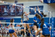 Volleyball: Polk at West Henderson (BR3_6926)