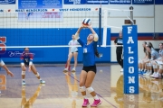 Volleyball: Polk at West Henderson (BR3_6959)