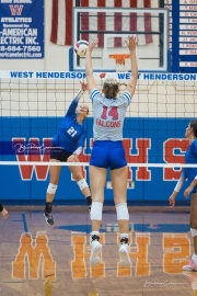 Volleyball: Polk at West Henderson (BR3_7019)