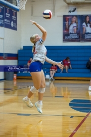 Volleyball: Polk at West Henderson (BR3_7054)