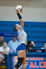 Volleyball: Polk at West Henderson (BR3_7071)