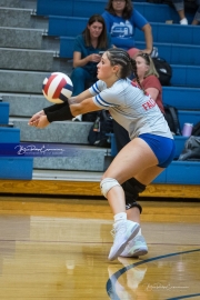 Volleyball: Polk at West Henderson (BR3_7154)