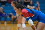 Volleyball: Polk at West Henderson (BR3_7246)