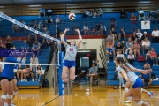 Volleyball: Polk at West Henderson (BR3_7282)