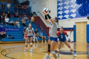 Volleyball: Polk at West Henderson (BR3_7297)