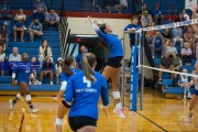 Volleyball: Polk at West Henderson (BR3_7342)