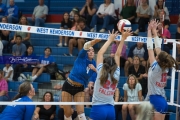 Volleyball: Polk at West Henderson (BR3_7465)