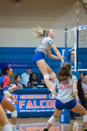 Volleyball: Polk at West Henderson (BR3_7585)