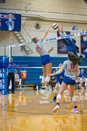 Volleyball: Polk at West Henderson (BR3_7608)