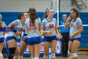 Volleyball: Polk at West Henderson (BR3_7642)