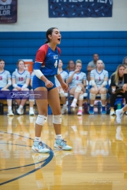 Volleyball: Polk at West Henderson (BR3_7682)