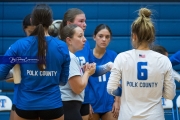 Volleyball: Polk at West Henderson (BR3_7697)