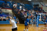 Volleyball: Polk at West Henderson (BR3_7715)