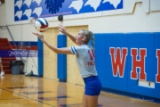 Volleyball: Polk at West Henderson (BR3_7771)