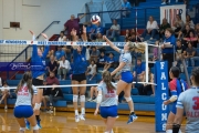 Volleyball: Polk at West Henderson (BR3_7789)