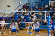 Volleyball: Polk at West Henderson (BR3_7793)