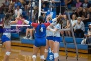 Volleyball: Polk at West Henderson (BR3_7801)