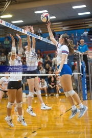 Volleyball: Franklin at West Henderson (BR3_3815)