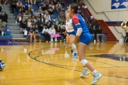 Volleyball: Franklin at West Henderson (BR3_3850)