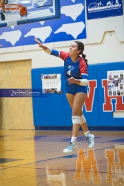 Volleyball: Franklin at West Henderson (BR3_3932)