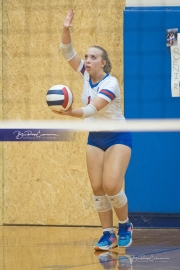 Volleyball: Franklin at West Henderson (BR3_4087)