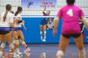 Volleyball: Franklin at West Henderson (BR3_4250)