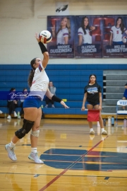 Volleyball: Franklin at West Henderson (BR3_4484)