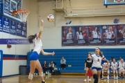 Volleyball: Franklin at West Henderson (BR3_4544)