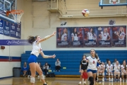 Volleyball: Franklin at West Henderson (BR3_4546)