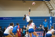 Volleyball: Franklin at West Henderson (BR3_4600)