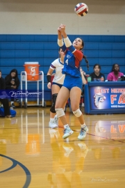 Volleyball: Franklin at West Henderson (BR3_4651)