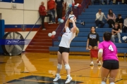 Volleyball: Franklin at West Henderson (BR3_4871)