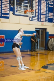 Volleyball: Franklin at West Henderson (BR3_4891)