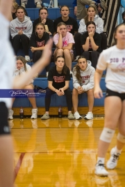 Volleyball: Franklin at West Henderson (BR3_4916)