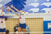 Volleyball: Franklin at West Henderson (BR3_4995)