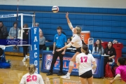 Volleyball: Franklin at West Henderson (BR3_5038)