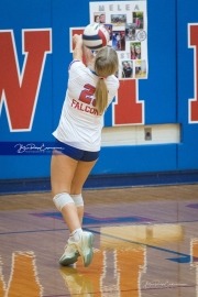 Volleyball: Franklin at West Henderson (BR3_5044)