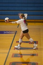 Volleyball: Franklin at West Henderson (BR3_5087)